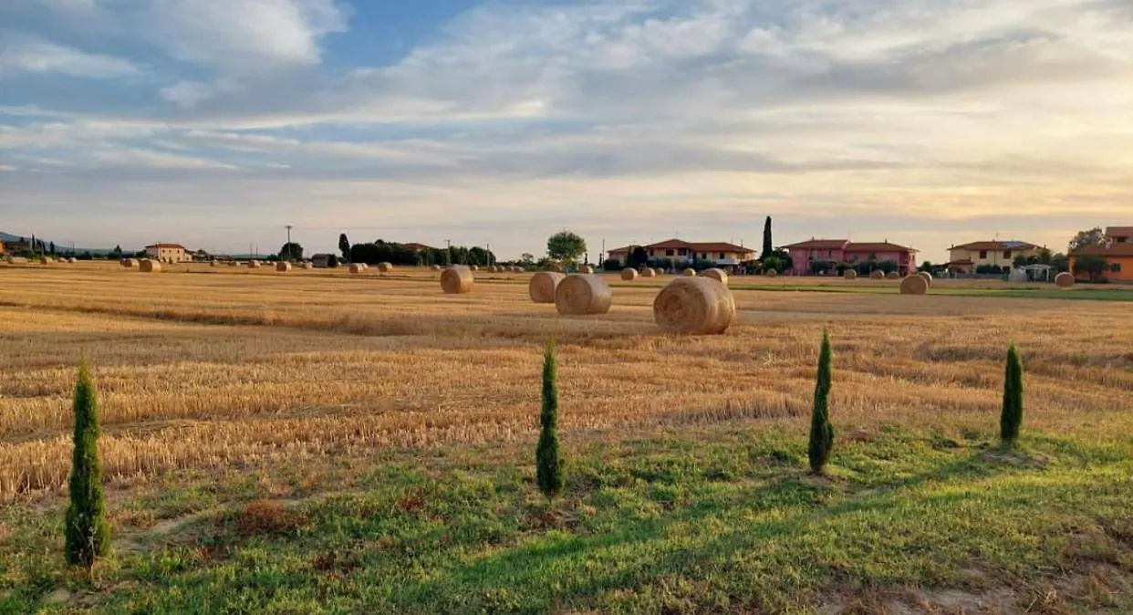 Bed & Breakfast Il Cantuccio Cascina